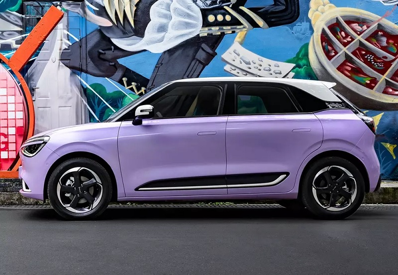 Dongfeng box màu tím