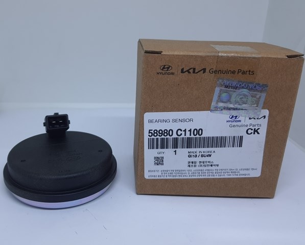 58980C1100