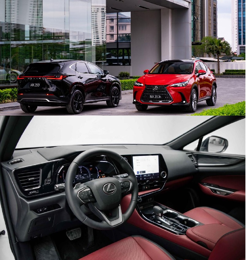 xe Lexus NX 350h