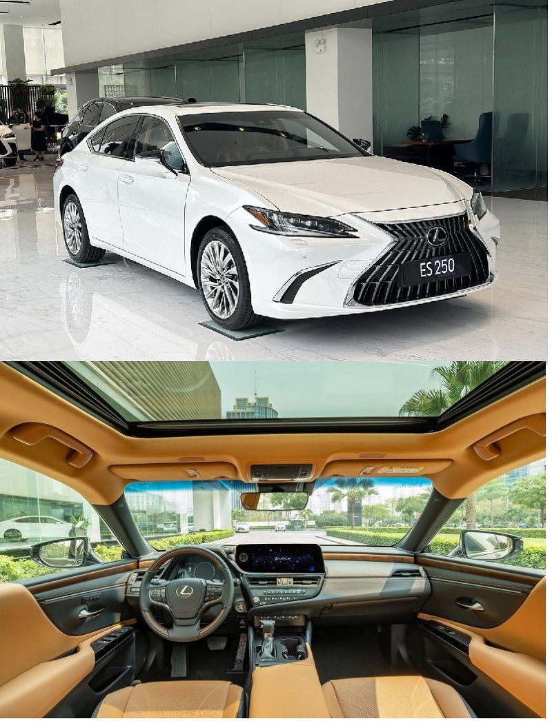 xe Lexus ES 250