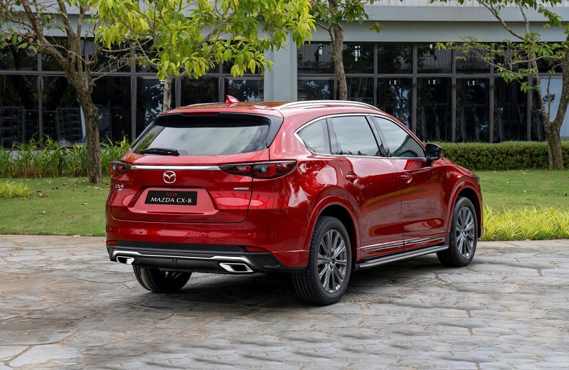 xe CX8